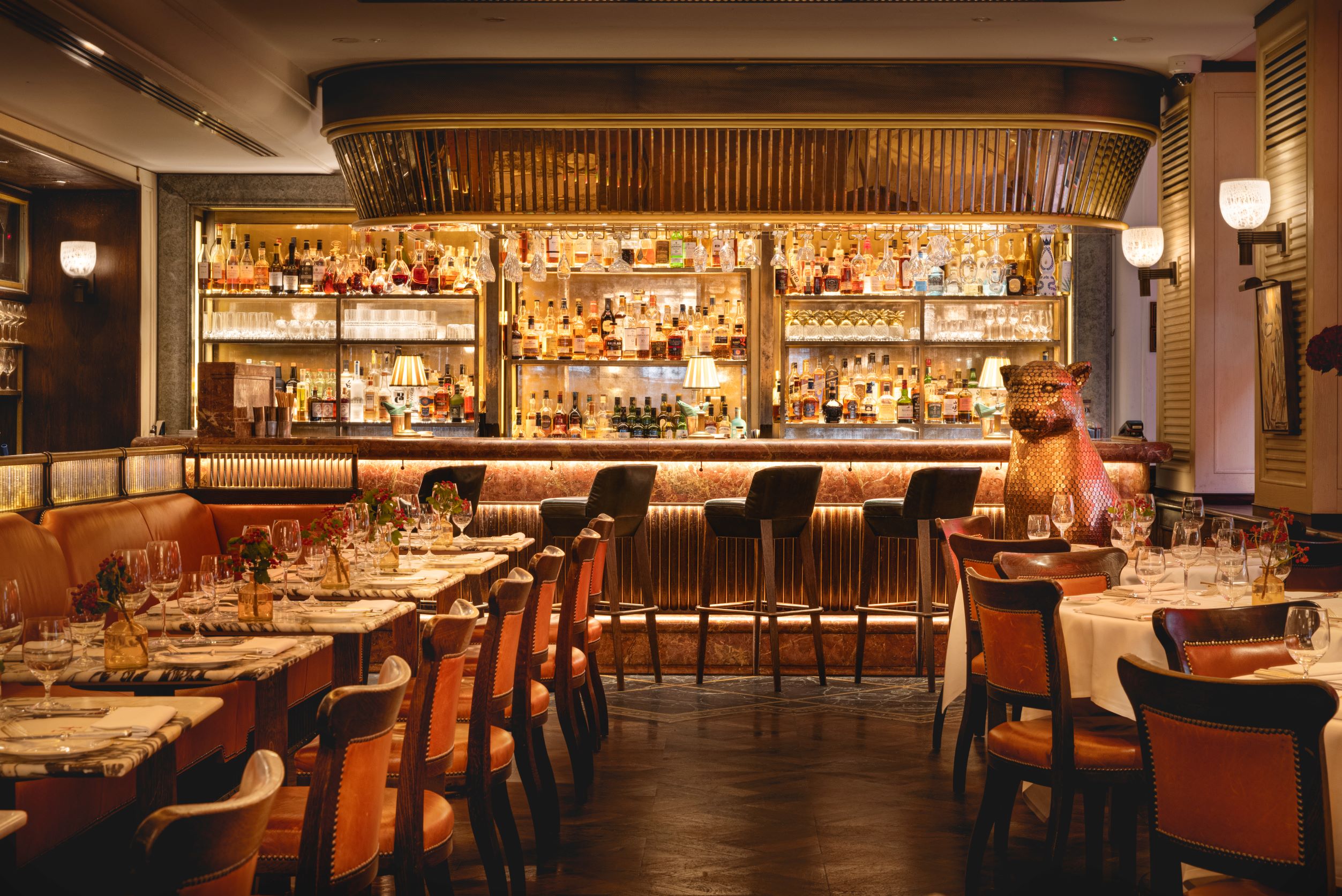 PRIVACY-POLICY-JohnnyStephensPhotography